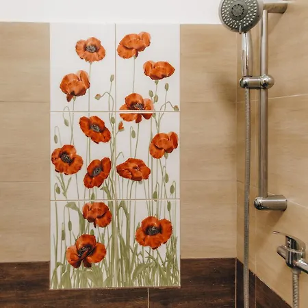 Zoeld Eden Apartament Makó