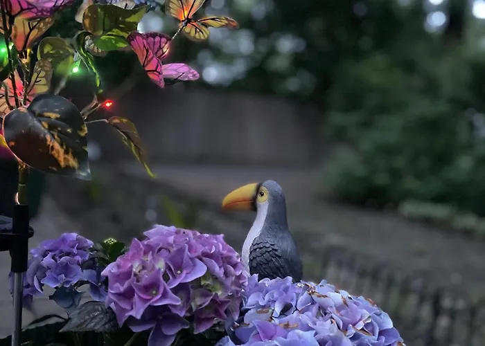 Apartament Zoeld Eden *